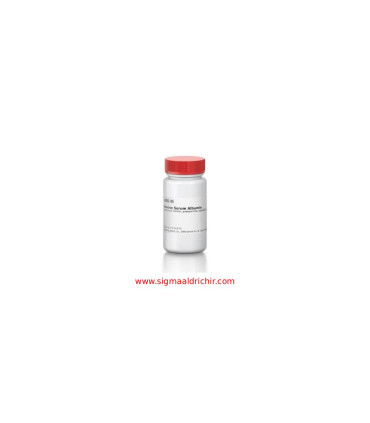 آلبومین سرم گاوی  Bovine Serum Albumin Sigma A3059