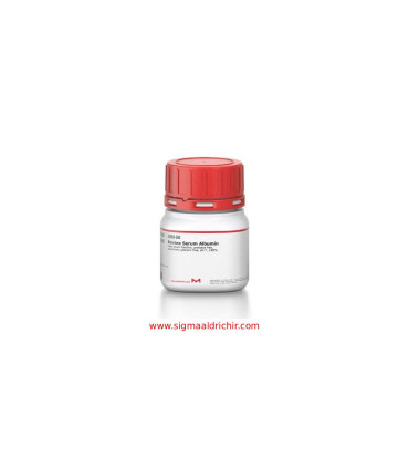آلبومین سرم گاوی  Bovine Serum Albumin Sigma A3059