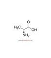 ال-آلانین  L-Alanine Sigma 05129