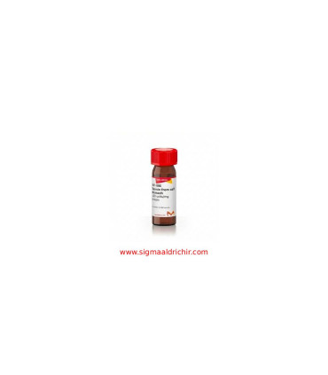 رنین استخراج‌شده از معده گوساله  Rennin from calf stomach Sigma R4877