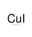 یدید مس  Copper(I) iodide Sigma 03140