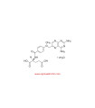 متوترکسات هیدرات  Methotrexate hydrate Sigma M8407