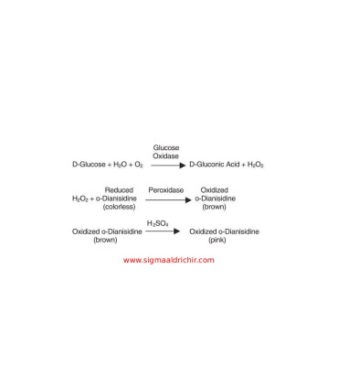 گلوکز اکسیداز از آسپرژیلوس نایجر   Glucose Oxidase from Aspergillus niger Sigma G2133