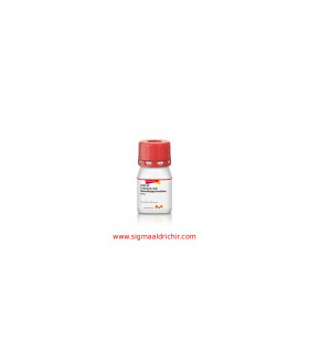 2-آمینو-4,6-دی‌متیل‌ پیریمیدین   2Amino-4,6-dimethylpyrimidine Sigma A52005