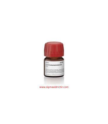 ۲-آمینوبنزیمیدازول   2Aminobenzimidazole Sigma 171778