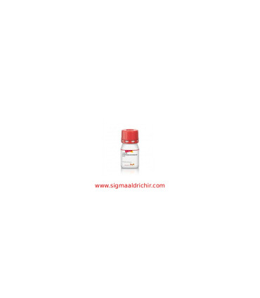 ۲-آمینوبنزیمیدازول   2Aminobenzimidazole Sigma 171778