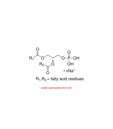 نمک سدیمی 3-sn-فسفاتیدیک اسید از لسیتین زرده تخم‌مرغ   3sn-Phosphatidic acid sodium salt from egg yolk lecithin Sigma P9511