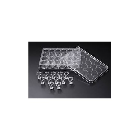 CultureInsert 24 Well 6/50mm  0.40 Um Pore PETCell Opeaque