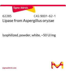 لیپاز از آسپرژیلوس نیجر  Lipase from Aspergillus niger Sigma 62301