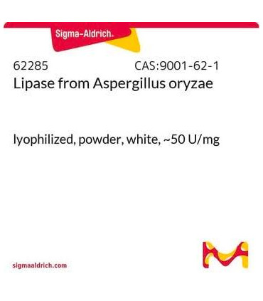 لیپاز از آسپرژیلوس نیجر  Lipase from Aspergillus niger Sigma 62301