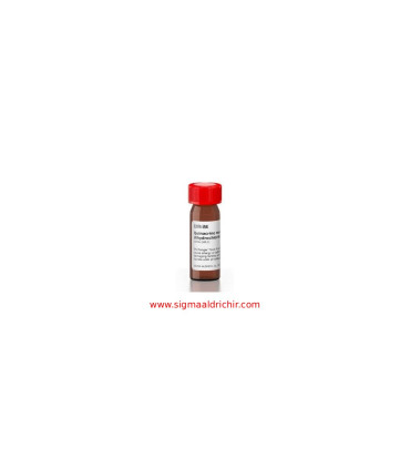 کویناکرین ماستارد دی‌ هیدروکلراید    Quinacrine mustard dihydrochloride Sigma Q2876
