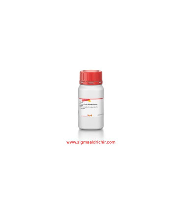 کلاژن نوع I گاوی   Bovine Collagen Type I Sigma C9879
