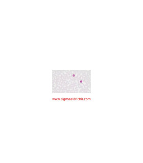 معرف شیف    Schiff’s Reagent Sigma 3952016