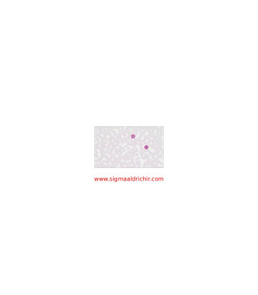 معرف شیف    Schiff’s Reagent Sigma 3952016