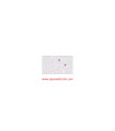 معرف شیف    Schiff’s Reagent Sigma 3952016