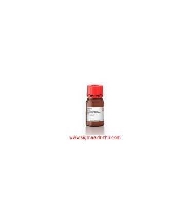 نمک نیمه‌ کلرید روی آکریدین اورنج    Acridine Orange hemi(zinc chloride) salt Sigma 158550