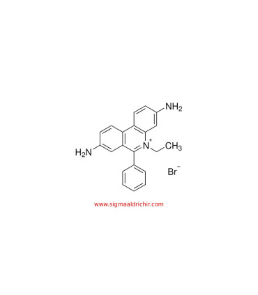 اتیدیوم بروماید   Ethidium bromide Sigma E8751