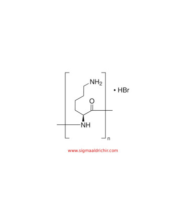 پلی-L-لیزین هیدروبروماید    Poly-L-lysine hydrobromide Sigma P1524