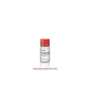 پروتئیناز   Proteinase K from Tritirachium album Sigma P2308