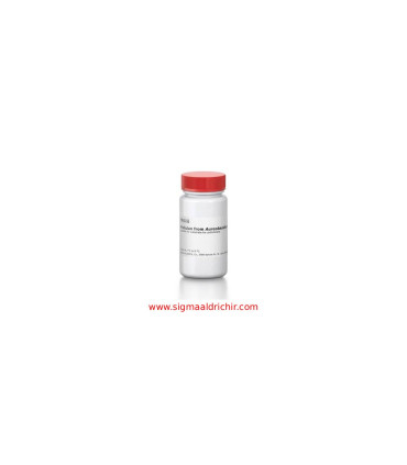 پولولان    Pullulan Sigma P4516