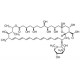 Amphotericin B from Streptomyces sp. ~80% (HPLC), powder