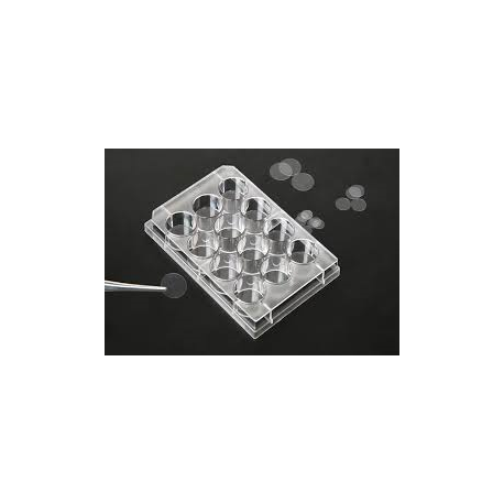 Coverslips Fits into 24 Wells Dimension 12mm Sterile