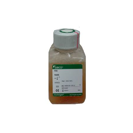 Fetal Bovine Serum   FBS