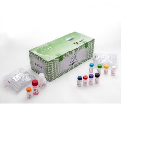 کیت  تی فور 3  T3  KIT  PGI