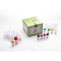 کیت اف اس اچ  Kit Fsh  PGI