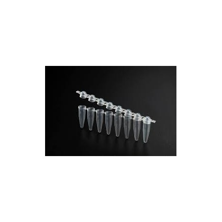 PCR Tube Strip 0.20 ml DNase/RNase free 60008
