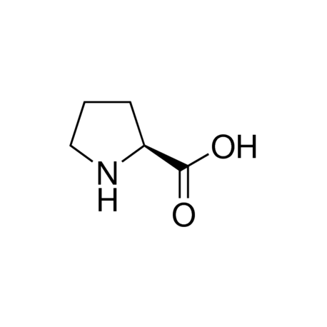 ال پیرولین L - Proline SIGMA  P5607