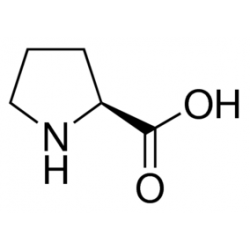 ال پیرولین L - Proline SIGMA  P0380