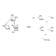 جنتاماسین سولفات Gentamicin sulfate salt sigma G1265