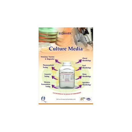 acetamide broth