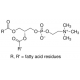 L-α-Phosphatidylcholine sigma p3644 ال الفا فسفاتیلیدی کولین