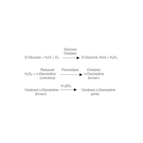 Glucose Oxidase from Aspergillus niger G7141 sigma گلوکز اکسیداز