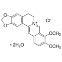 بربرین کلراید هیدرات Berberine chloride hydrate sigma 14050